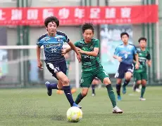 包含不莱梅青训球员脱颖而出,展现出色潜力的词条 包含不莱梅青训球员脱颖而出,展现出色潜力的词条