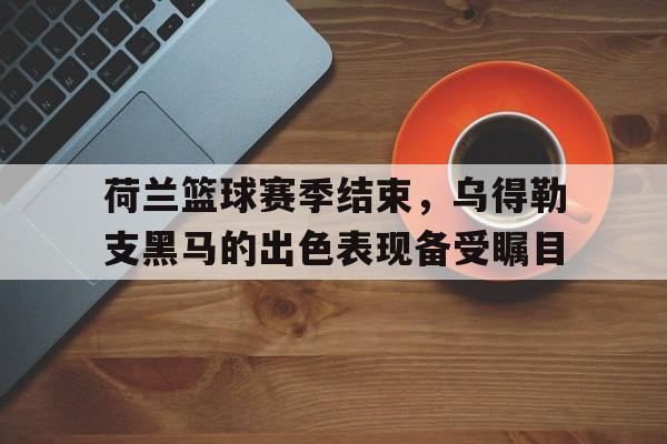 Kaiyun Esports-包含荷兰篮球赛季结束，乌得勒支黑马的出色表现备受瞩目的词条